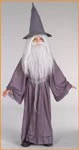 Boys Lord Of The Rings Gandalf Costume