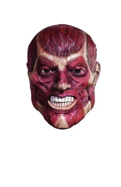Skinner Mask