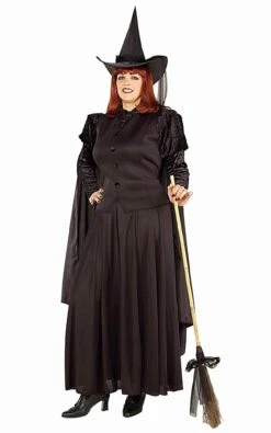 Witch Costume Womens Plus Size Halloween Costumes