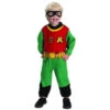 Infants/Toddlers Teen Titans Robin Costume