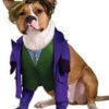 Pets Batman The Joker Costume