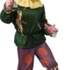 Toddlers Wizard Of Oz Scarecrow Costume