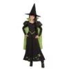 Girls Wizard Of Oz Wicked Witch Of The West Costume