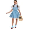 Girls Wizard Of Oz Deluxe Dorothy Costume