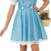 Teens/Womens Wizard Of Oz Dorothy Costume