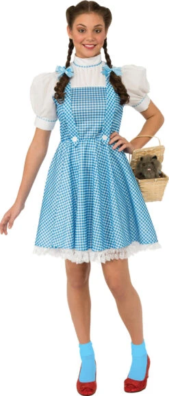 Teens/Womens Wizard Of Oz Dorothy Costume