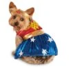 Pets Wonder Woman Costume